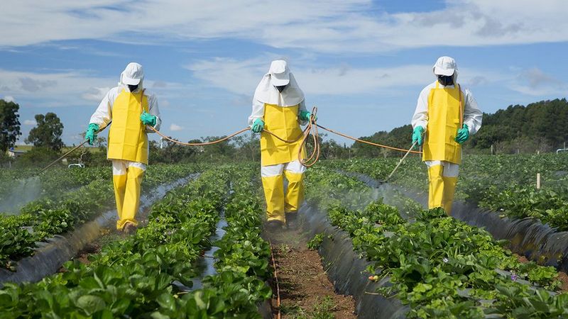 Թունաքիմիկատների և ագրոքիմիկատների որակի վերահսկողության կանոնները փոխվում են