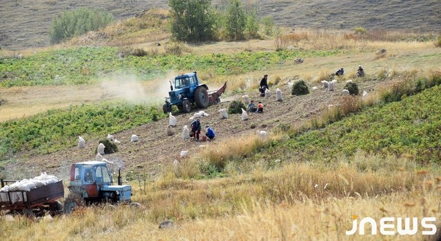 Суть кооператива: сотрудничество или участие в программах