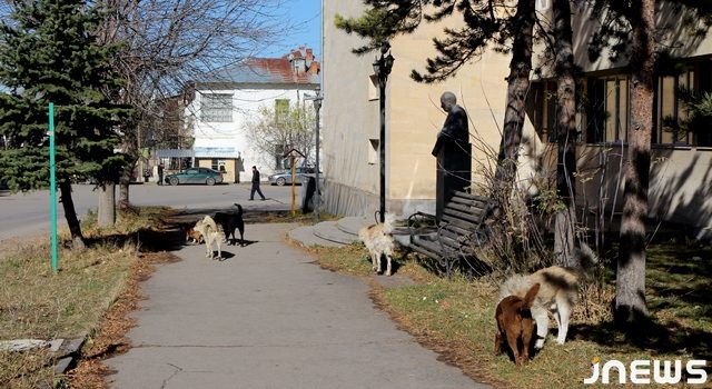 Красивые, но опасные