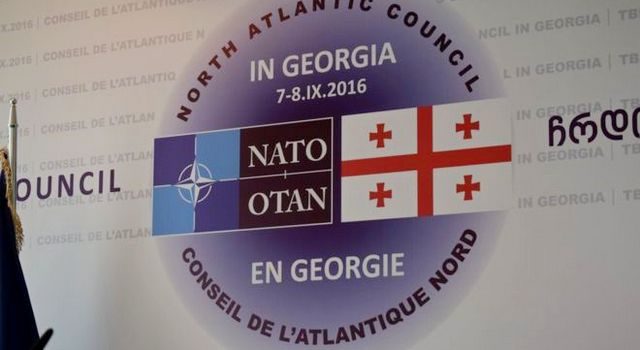 Грузия и НАТО: поддержка и неопределенность