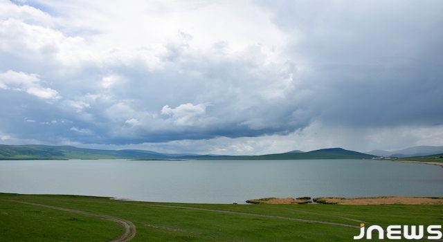 В Грузии появится Национальное агентство дикой природы