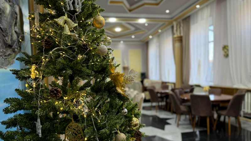 Проведите свой новогодний корпоратив в “Merani” (R)