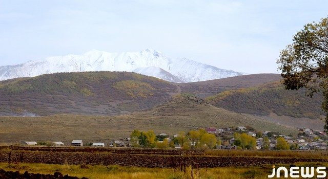 Жизнь у “плодородного” леса