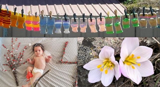 Известны победители конкурса “Весна Джавахети моими глазами”