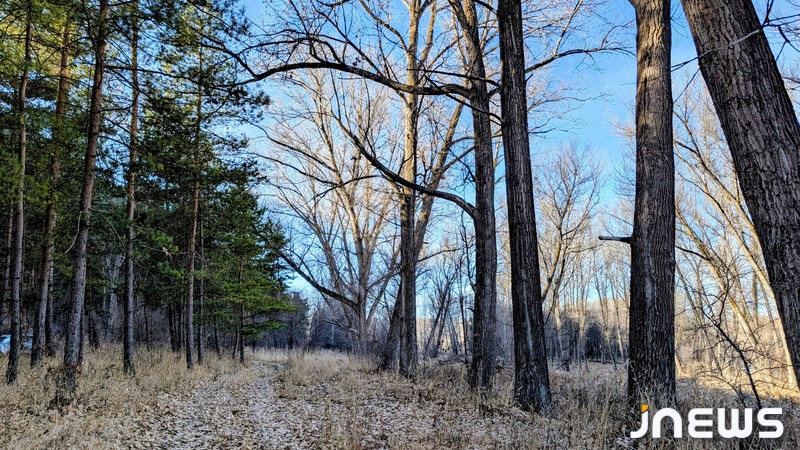 Какая погода ожидается до 1 декабря