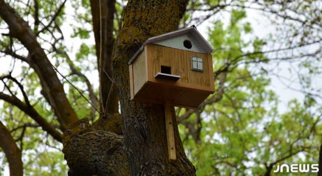 Гостеприимный парк для птиц