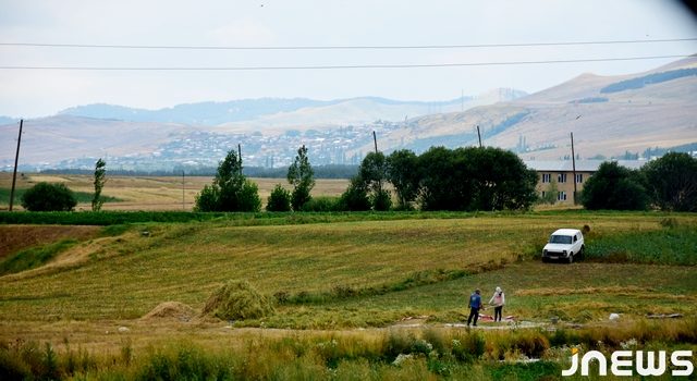 Урожай уцхо-сунели в Ахалкалаки – средние показатели и проблемы с реализацией