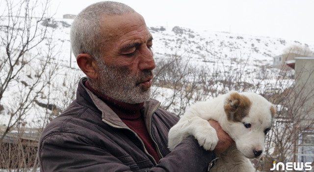 Байрона, Гитлера, Маккартни и джавахского Амбарцума объединяет…