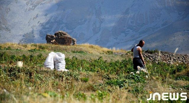 Фотоконкурс: «Джавахетская осень»