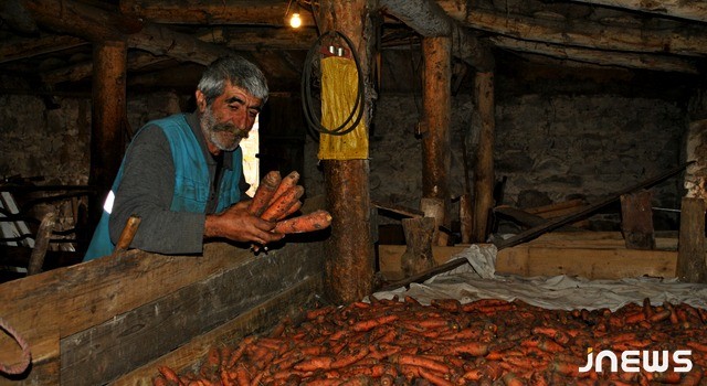 «Село моркови»