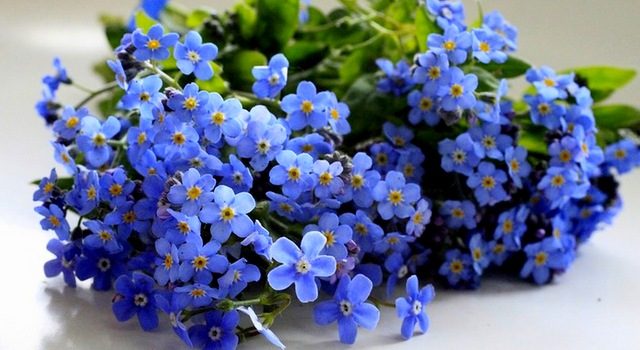 Какая погода ожидается в ближайшие дни