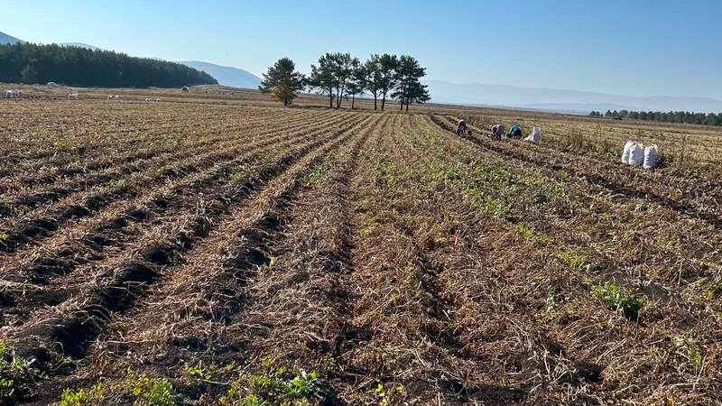 Продается земельный участок на трассе Ахалкалаки-Бакуриани (R)
