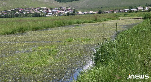 Река, превратившаяся в болото