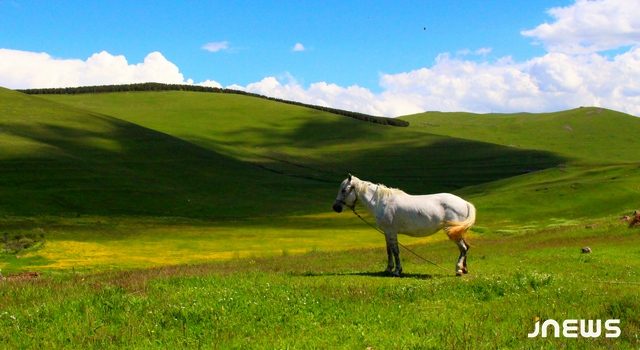 Большой потенциал, но маленькие усилия для развития