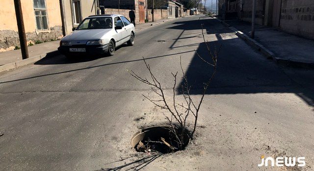 В открытых люках «растут» деревья