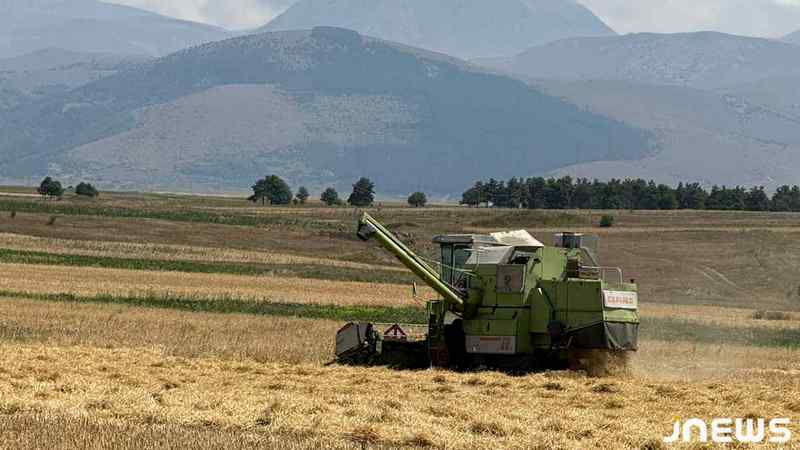 Գյուղերում հավաքում են հացահատիկը