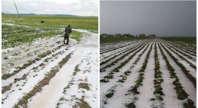 Сильный град повредил несколько сёл в Ахалкалаки