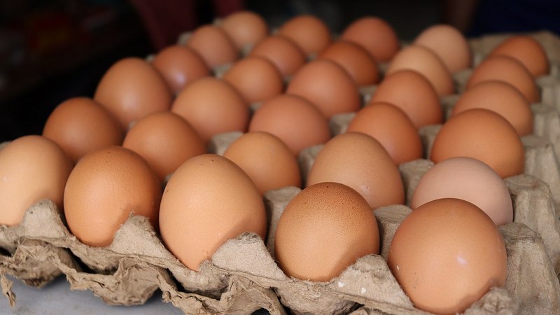 Ожидать ли нехватки яиц в Ахалкалаки?