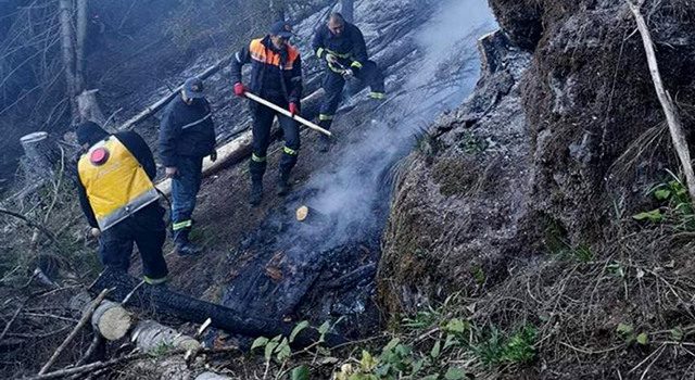 Пожар в лесу близ села Сакире локализован