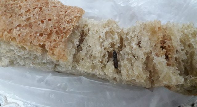 В ахалкалакском хлебе нашли червяка