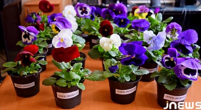 Сегодня в Грузии отмечается День Матери