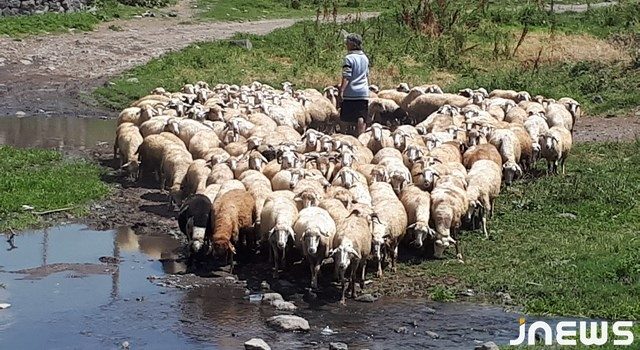 Когда мечта – крепкая крыша