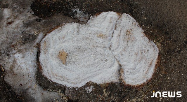 Откуда взялась зелёная красавица Ахалкалаки