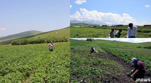 Сельскохозяйственные реалии Джавахети: развитие и альтернатива