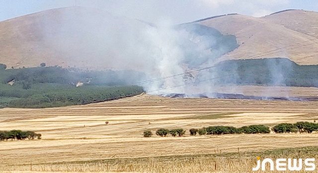 Горит лесополоса около Маджадии