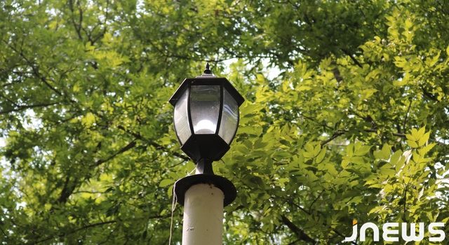 Хас Бахча станет освещенным