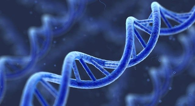 Больше нет необходимости обследования за границей