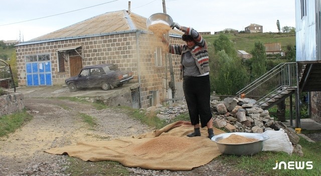 Не очень известная, но очень полезная джавахская нишаста