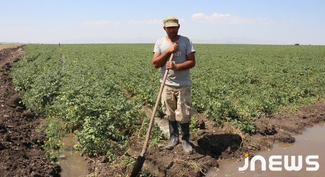 Только дождь утолит жажду жителей Ахалкалаки