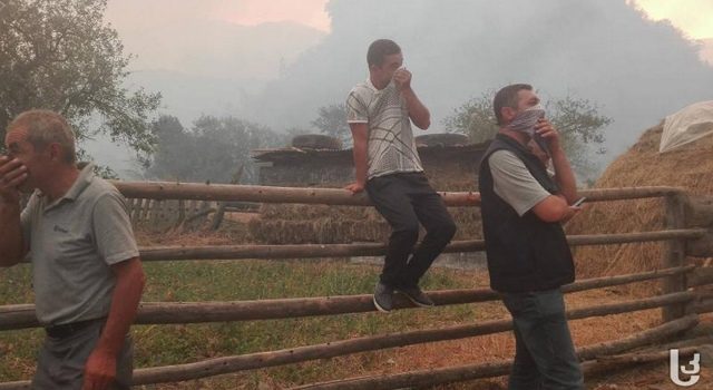 В Боржомском ущелье пожар уничтожил до 100 гектаров леса