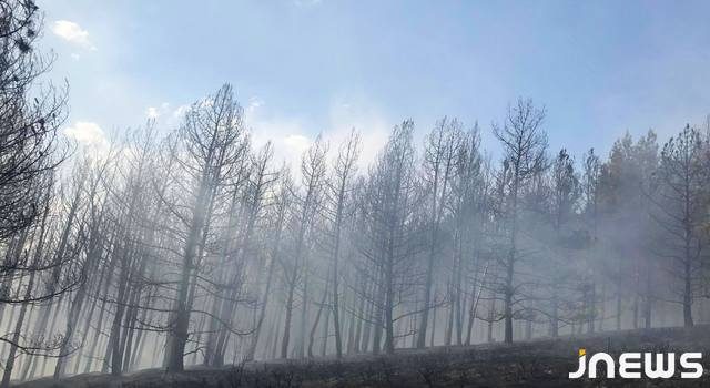 Пожар на горе около Маджадиа локализован