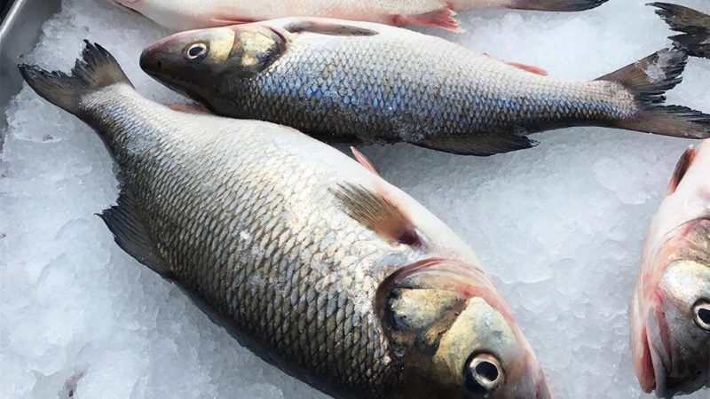 В марте больше всего подорожала рыба — на 21,2 %