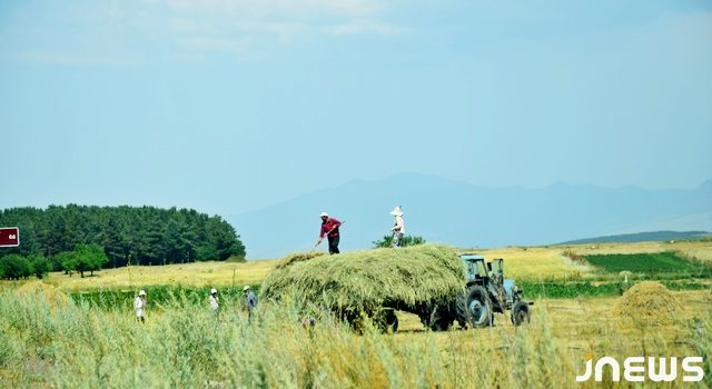 Сена много, но цена повысилась