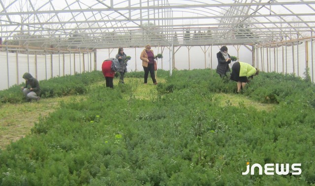 Социальное предпринимательство в Кутаиси