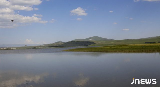 Село, где обитают птицы Красной книги