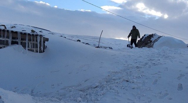 Хавет в ” белом плену”