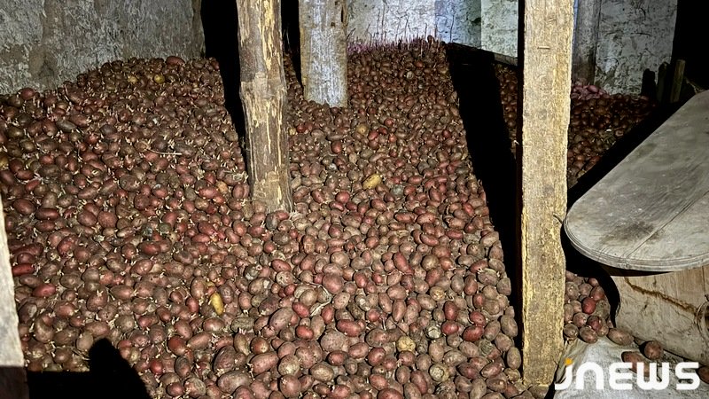 Картофель есть, покупателей нет: фермеры Ахалкалаки в отчаянии