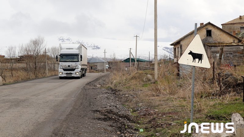 Корова погибла в ДТП — оштрафованы и водитель, и хозяин
