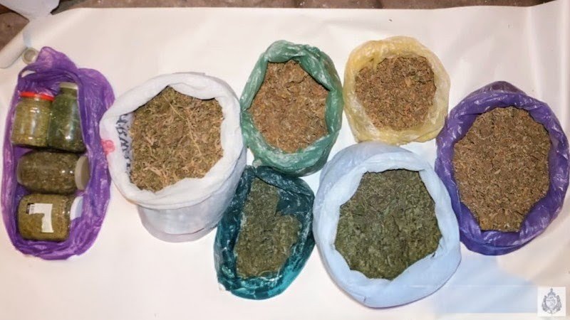 Пчеловода из Ахалкалаки задержали за хранение марихуаны