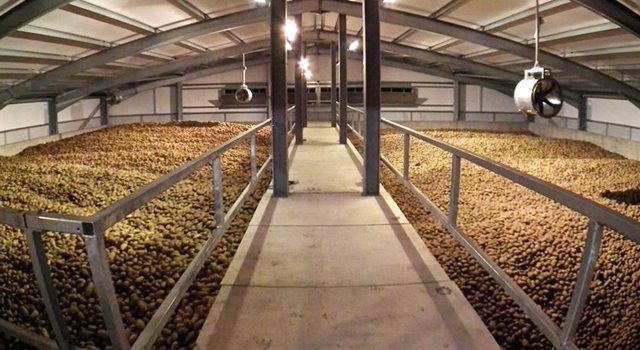 Залог успеха в картофелеводстве: хранилище (R)