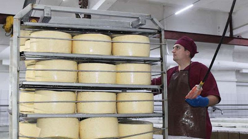 «Если не поощрять местное производство, молочные продукты подорожают, а цена на сыр вырастет на 2 GEL»
