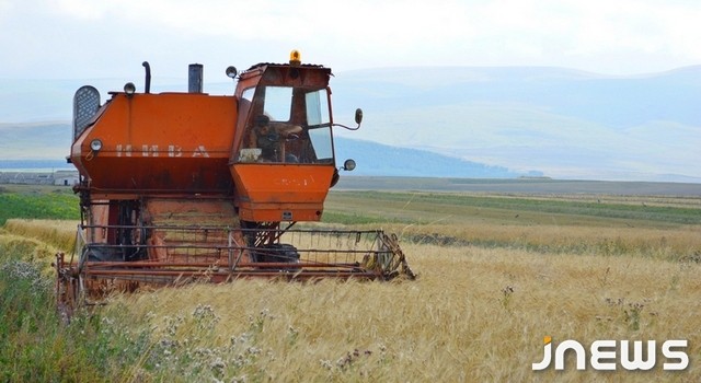 В Ахалкалаки разгар сбора зерновых
