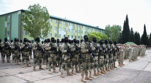 Грузия отмечает день  вооруженных сил