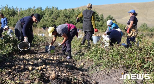 Страховка урожая в Джавахети не “приживается”