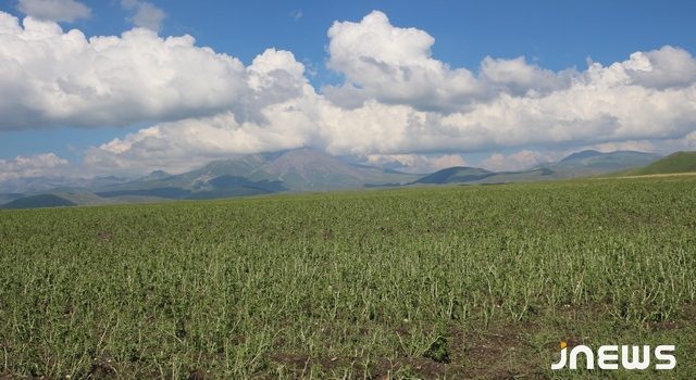 Сильный град нанёс ущерб 14 сёлам Ахалкалаки